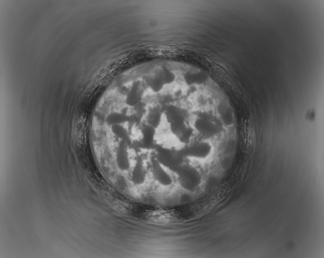 X0000116020511200912111355