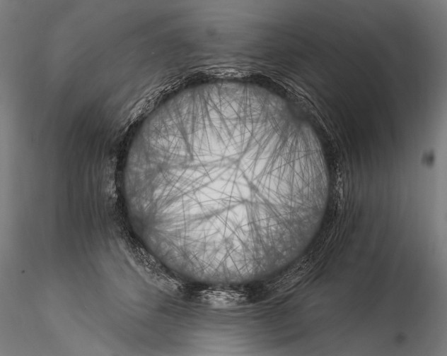 X0000116020512200912111355