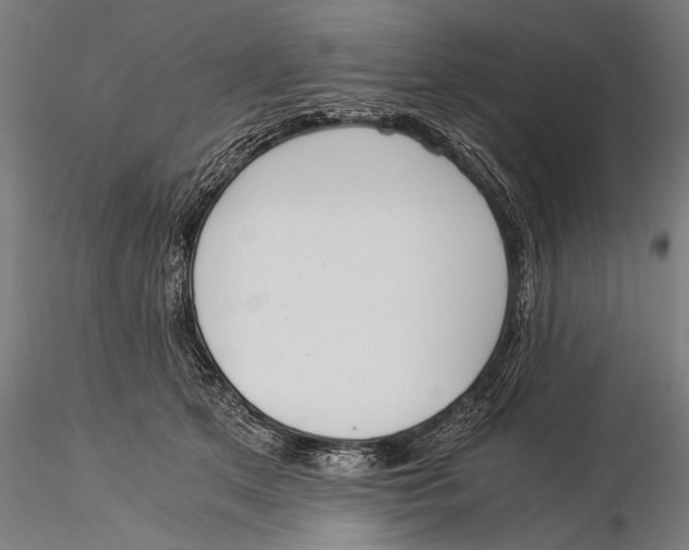 X0000116020513200912111355