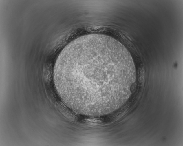 X0000116020515200912111355