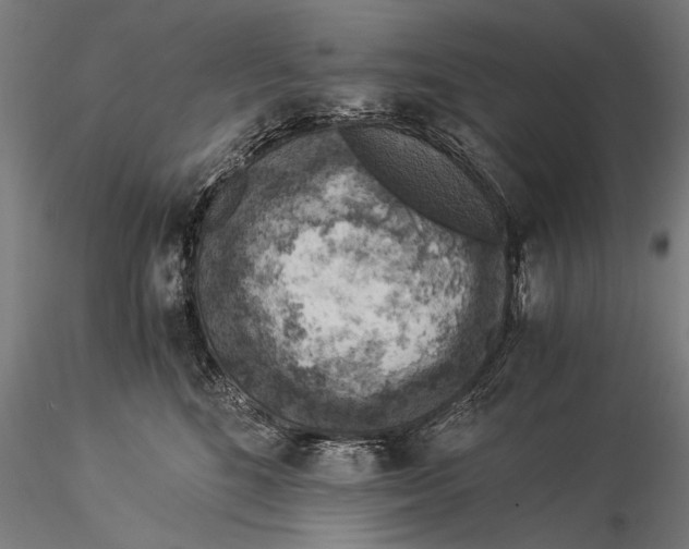 X0000116020520200912111355