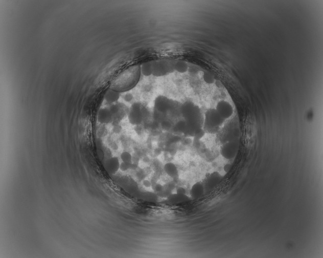 X0000116020523200912111355