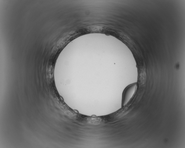 X0000116020525200912111355