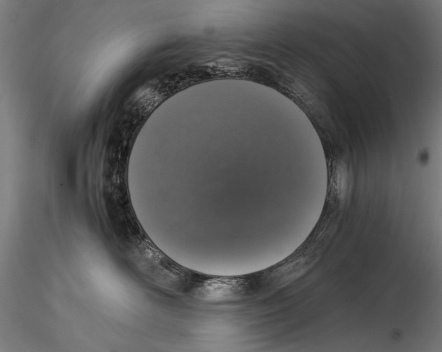 X0000116020526200912111355