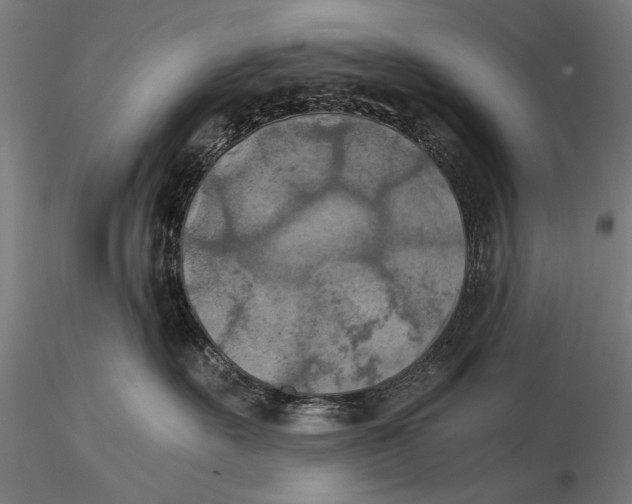 X0000116020527200912111355