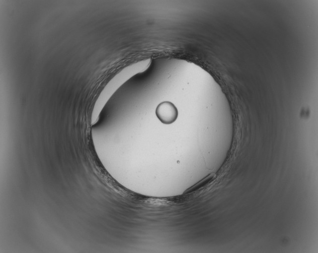 X0000116020528200912111355