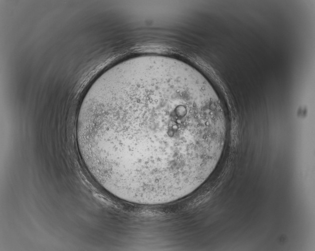 X0000116020529200912111354