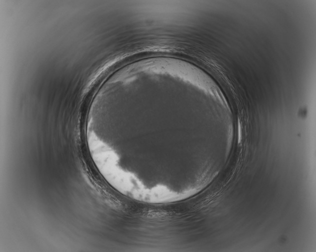 X0000116020531200912111354