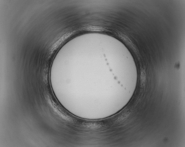 X0000116020533200912111354