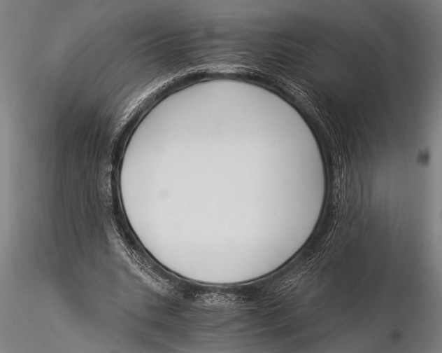 X0000116020535200912111354