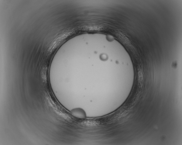 X0000116020537200912111354