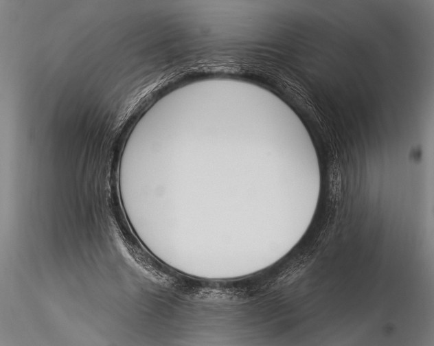 X0000116020538200912111354