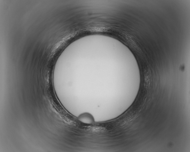 X0000116020539200912111354