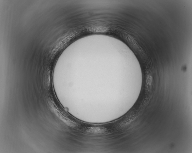 X0000116020541200912111354