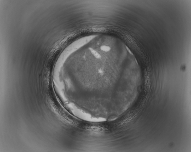 X0000116020542200912111354