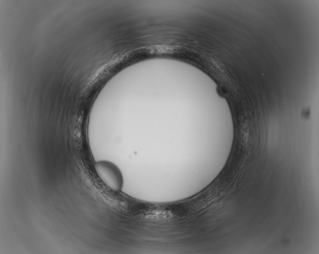 X0000116020543200912111354