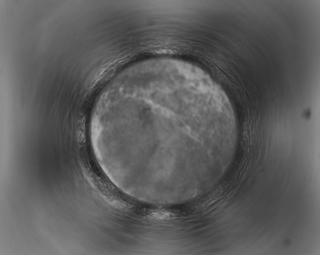 X0000116020547200912111354