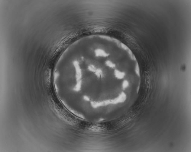 X0000116020550200912111354