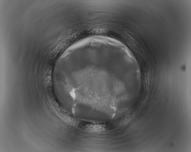 X0000116020553200912111354