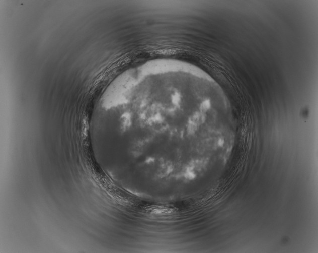 X0000116020555200912111354