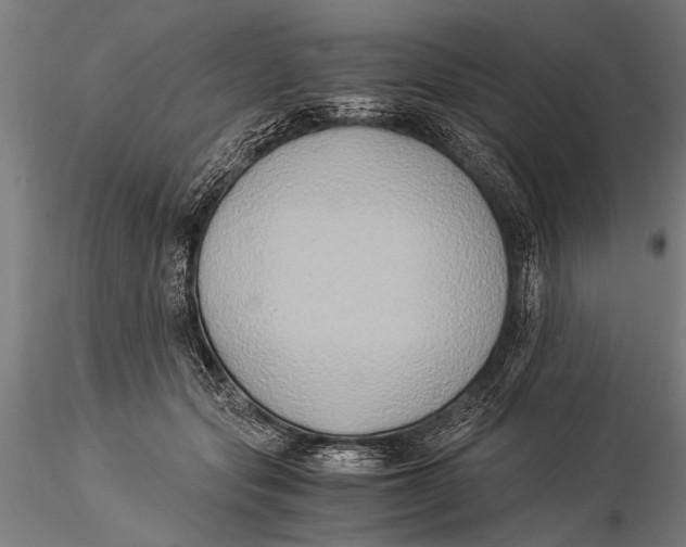 X0000116020557200912111354