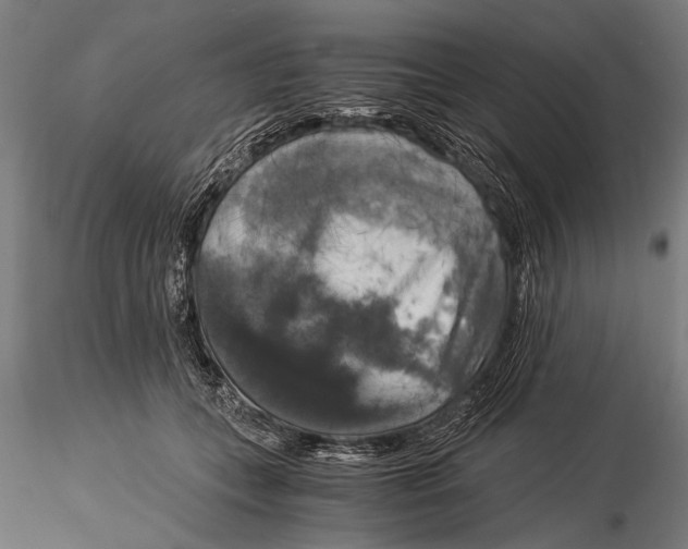 X0000116020559200912111355