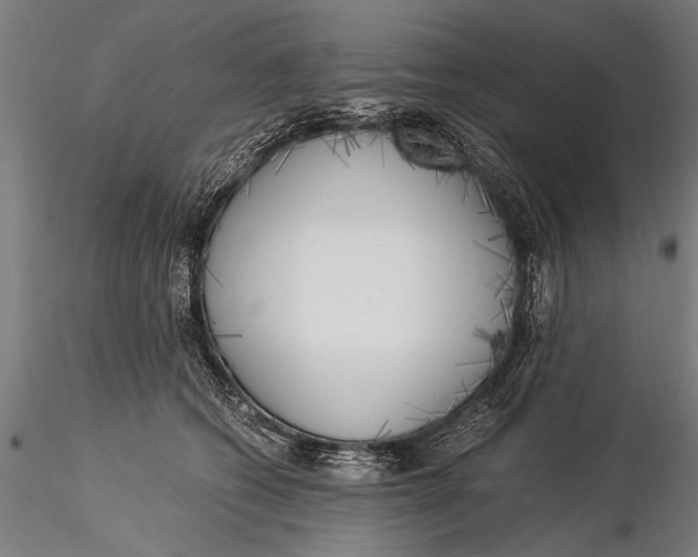 X0000116020562200912111355