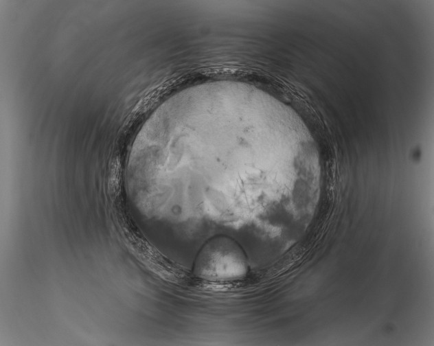 X0000116020563200912111355