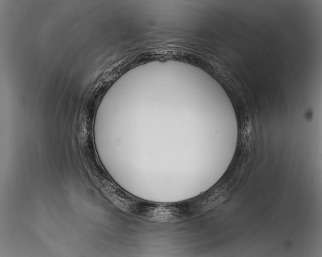 X0000116020566200912111355