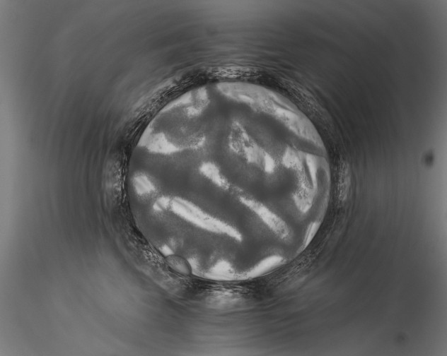 X0000116020569200912111355