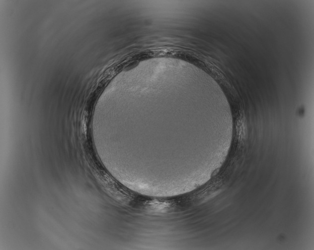 X0000116020570200912111355