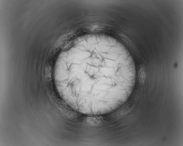 X0000116020571200912111355