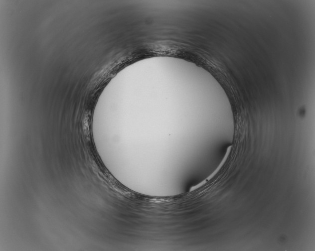 X0000116020573200912111355