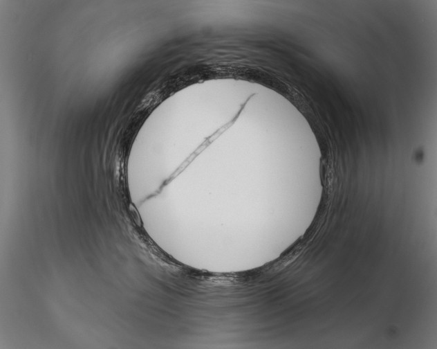 X0000116020574200912111355