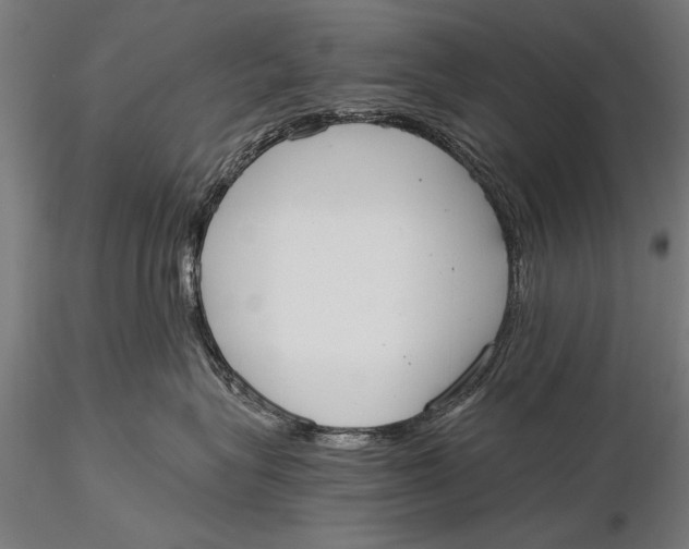 X0000116020575200912111355