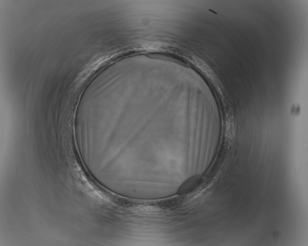 X0000116020577200912111354