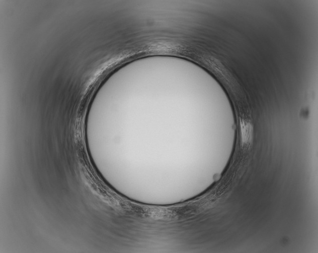 X0000116020579200912111354