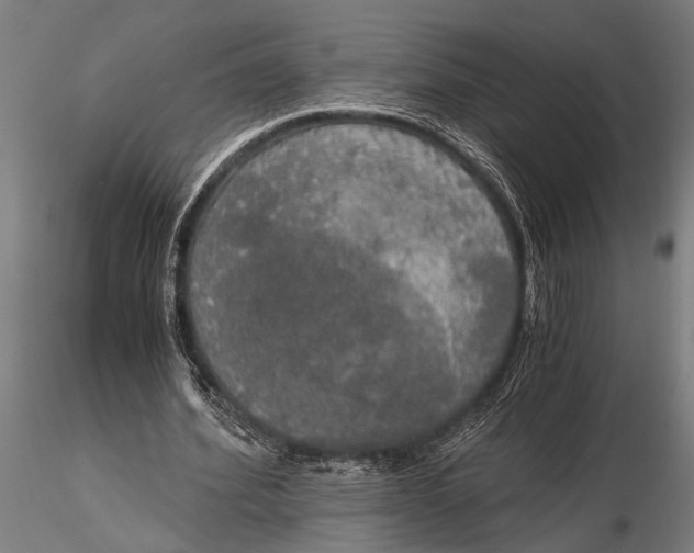 X0000116020580200912111354