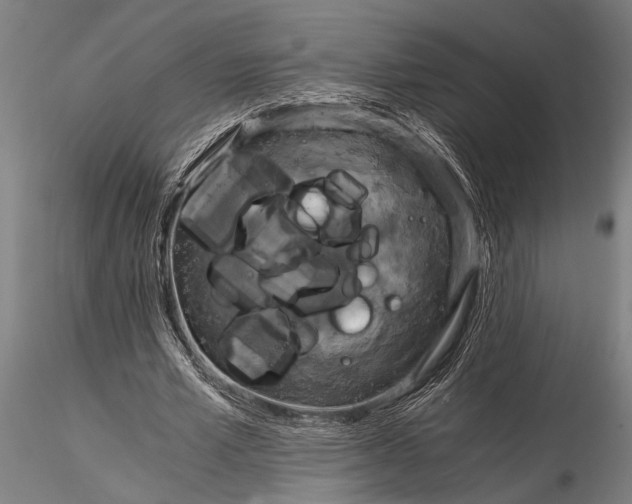 X0000116020581200912111354