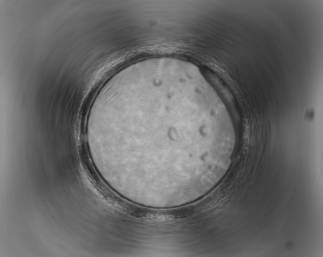 X0000116020582200912111354