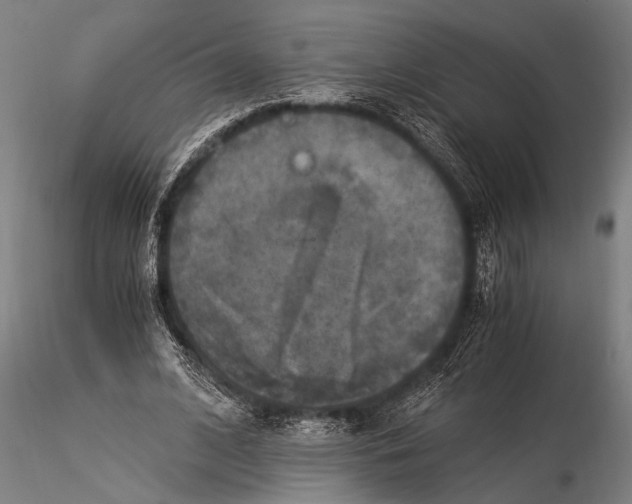 X0000116020584200912111354