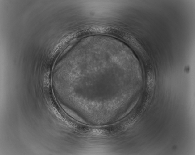 X0000116020585200912111354