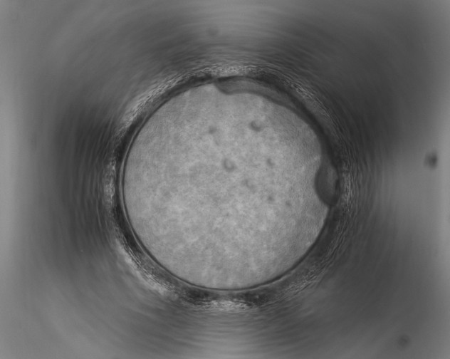 X0000116020586200912111354