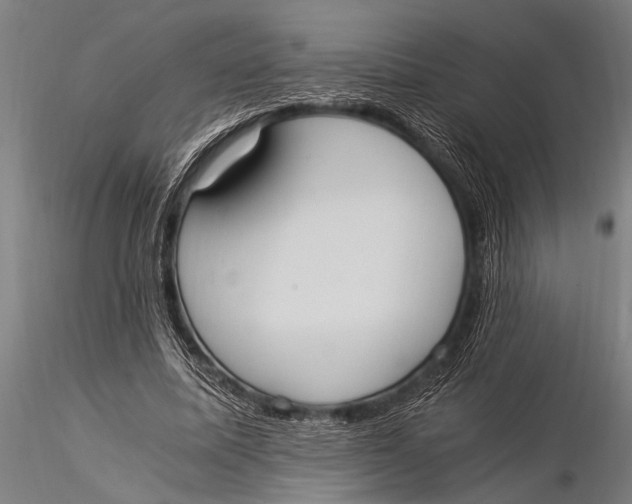 X0000116020587200912111354