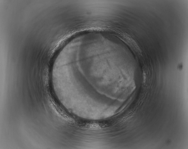 X0000116020588200912111354