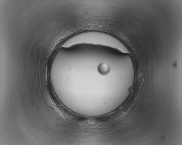 X0000116020589200912111354