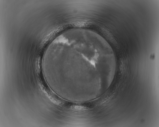 X0000116020590200912111354