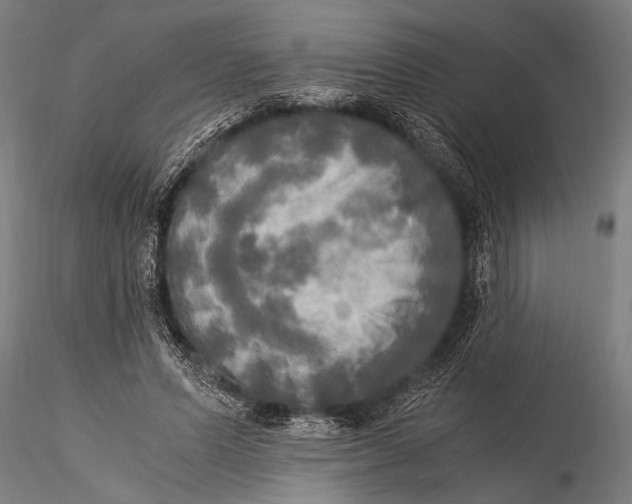 X0000116020591200912111354