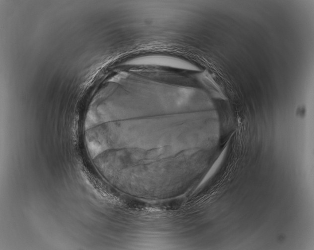 X0000116020592200912111354