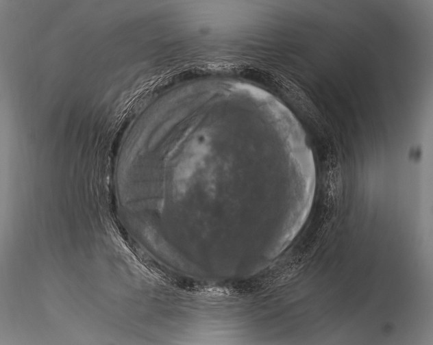 X0000116020593200912111354